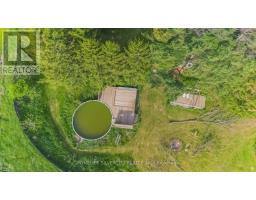 184 Pottruff Road, Brant, ON N3L3E3 Photo 49