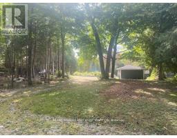 94 Everett Road, Kawartha Lakes, ON K0K1K0 Photo 10