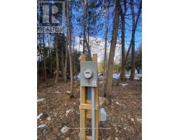 94 Everett Road, Kawartha Lakes, ON K0K1K0 Photo 25
