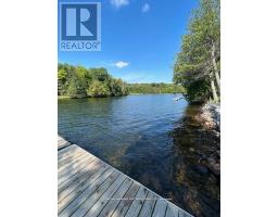 94 Everett Road, Kawartha Lakes, ON K0K1K0 Photo 6