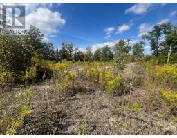 1872 Willan Road, Selwyn, ON K0L1J0 Photo 13