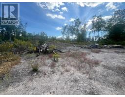 1872 Willan Road, Selwyn, ON K0L1J0 Photo 7