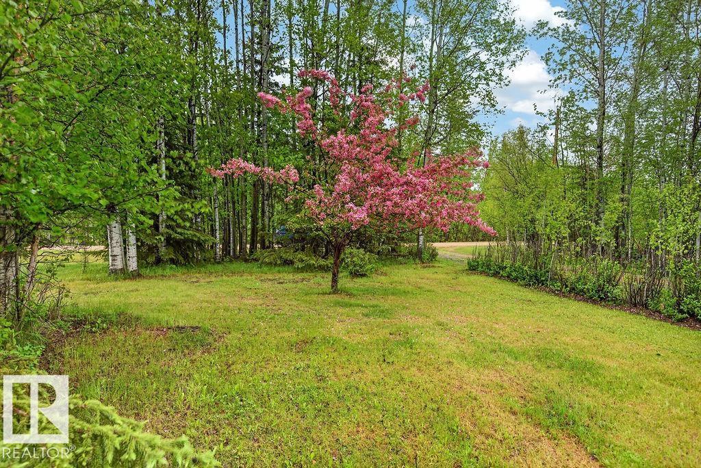 124 Allen DR - 36