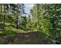 1102 Highway 31a, New Denver, BC V0G1S0 Photo 10