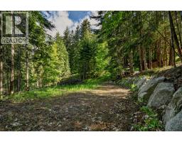 1102 Highway 31a, New Denver, BC V0G1S0 Photo 11