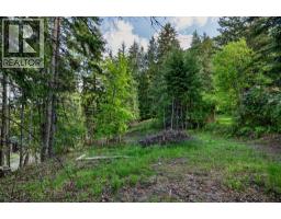 1102 Highway 31a, New Denver, BC V0G1S0 Photo 12
