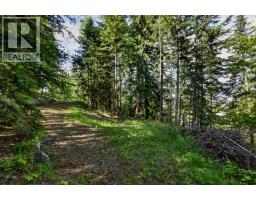 1102 Highway 31a, New Denver, BC V0G1S0 Photo 13