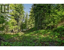 1102 Highway 31a, New Denver, BC V0G1S0 Photo 14