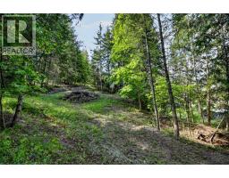 1102 Highway 31a, New Denver, BC V0G1S0 Photo 15