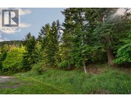 1102 Highway 31a, New Denver, BC V0G1S0 Photo 17