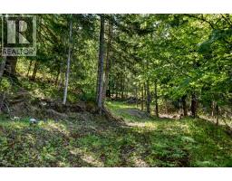 1102 Highway 31a, New Denver, BC V0G1S0 Photo 19