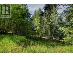 1102 Highway 31a, New Denver, BC V0G1S0 Photo 23