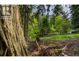 1102 Highway 31a, New Denver, BC V0G1S0 Photo 25