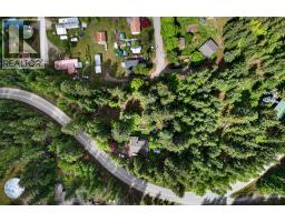 1102 Highway 31a, New Denver, BC V0G1S0 Photo 33