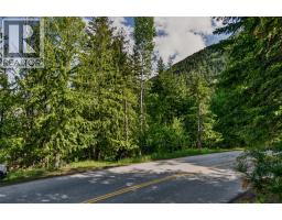 1102 Highway 31a, New Denver, BC V0G1S0 Photo 8