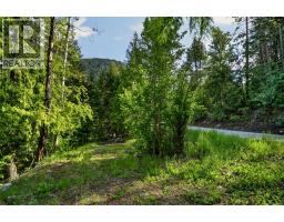 1102 Highway 31a, New Denver, BC V0G1S0 Photo 9