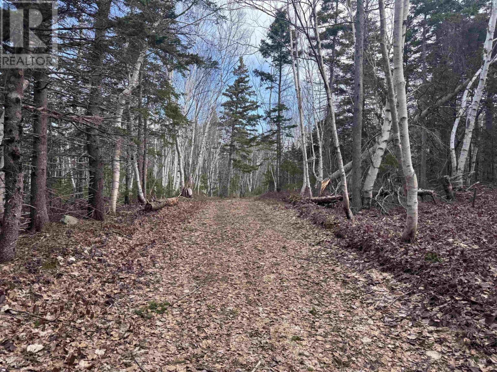 Property 15 of 35 of Cabot Trail