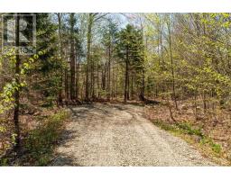Lot 1 Chemin Theriault Point Road, Belliveaus Cove, NS B0W1M0 Photo 10
