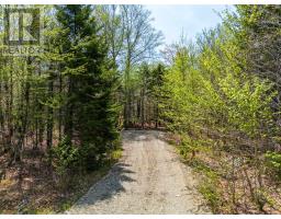 Lot 1 Chemin Theriault Point Road, Belliveaus Cove, NS B0W1M0 Photo 12