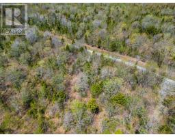 Lot 1 Chemin Theriault Point Road, Belliveaus Cove, NS B0W1M0 Photo 8