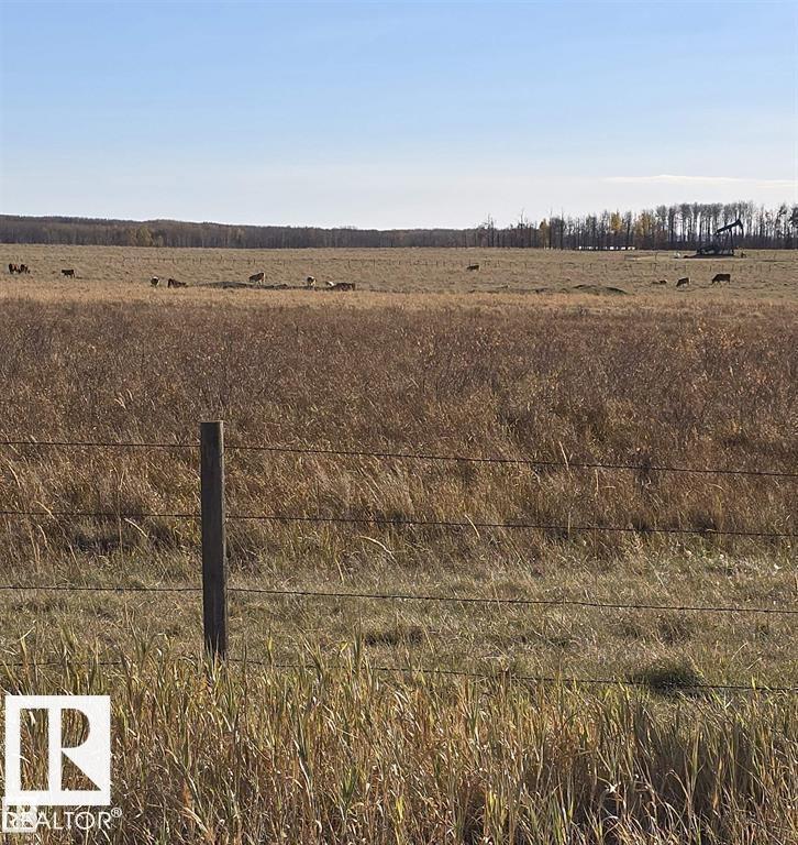 465051 RGE ROAD 41 — photo 25