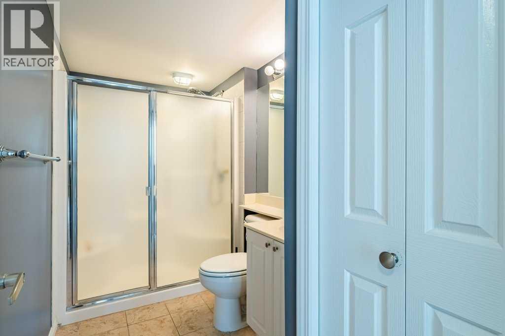 #3 2212 34 Avenue SW - 21