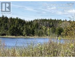 Living room - 2897 Highway#7, Ashdale, NS B2G2L3 Photo 10