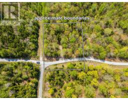 Lot 3 Chemin Theriault Point Road, Belliveaus Cove, NS B0W1M0 Photo 6