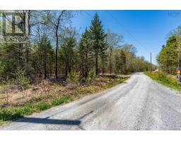 Lot 3 Chemin Theriault Point Road, Belliveaus Cove, NS B0W1M0 Photo 10