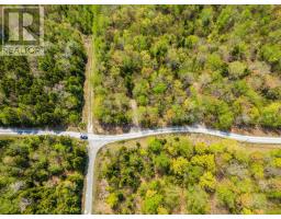 Lot 3 Chemin Theriault Point Road, Belliveaus Cove, NS B0W1M0 Photo 7