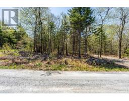 Lot 3 Chemin Theriault Point Road, Belliveaus Cove, NS B0W1M0 Photo 8