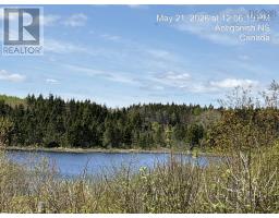 2897 Highway#7, Ashdale, NS B2G2L3 Photo 42