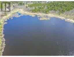 Kitchen - 2897 Highway#7, Ashdale, NS B2G2L3 Photo 8