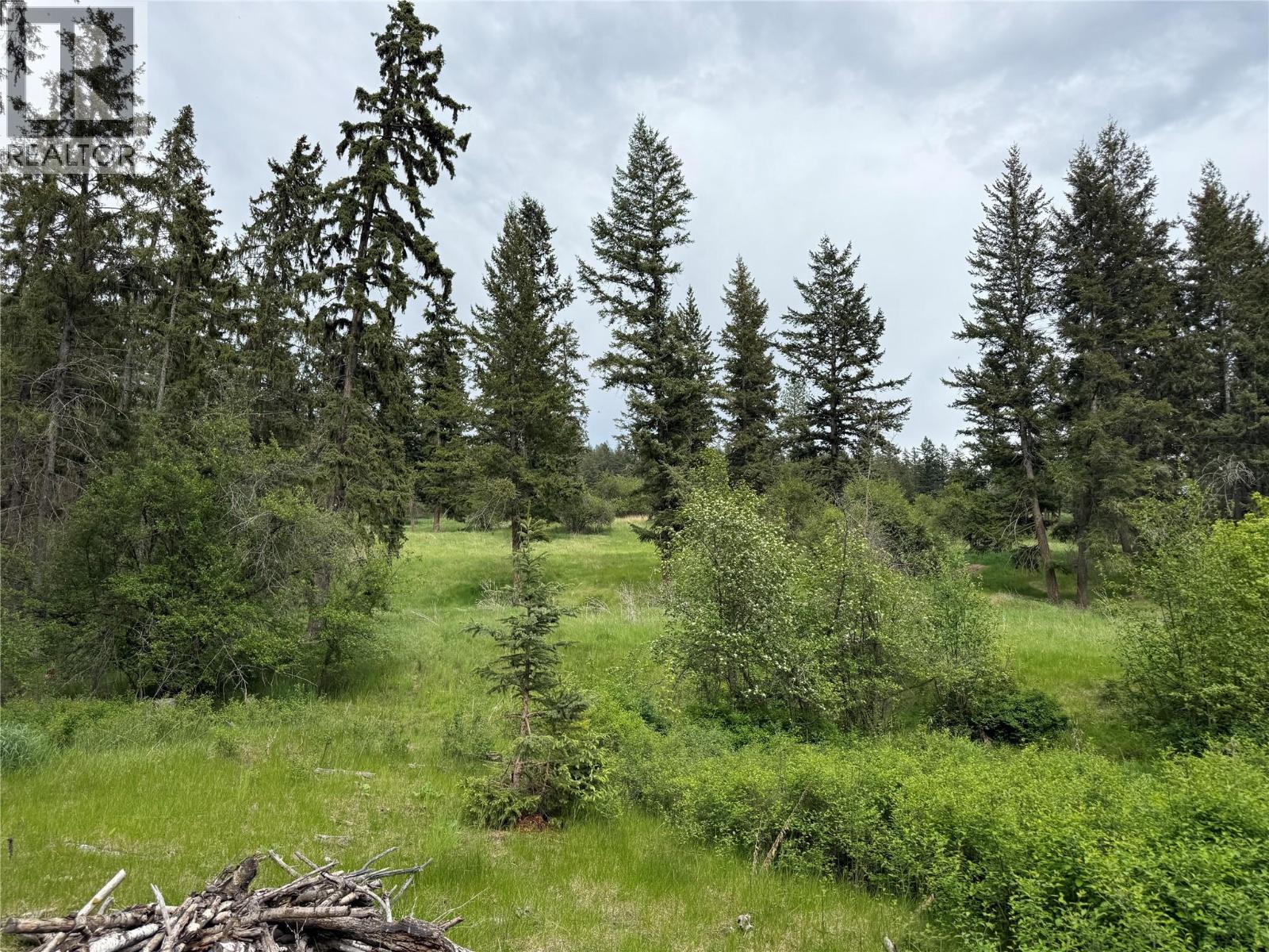  306 Irish Creek Road South, Vernon