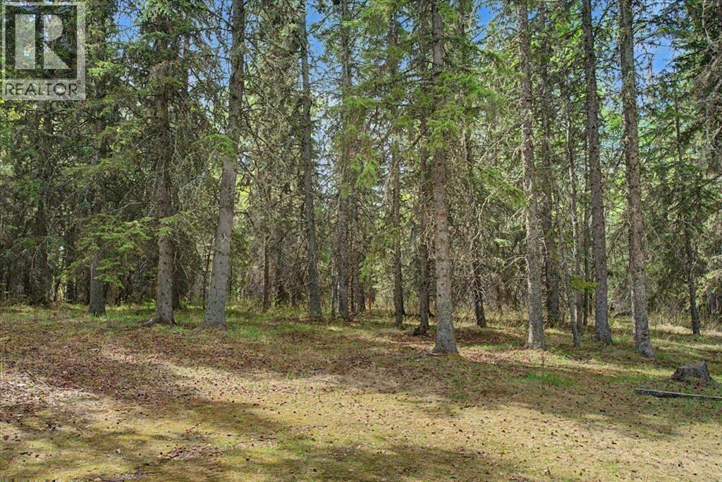 13 742033 53 Range Road — photo 44