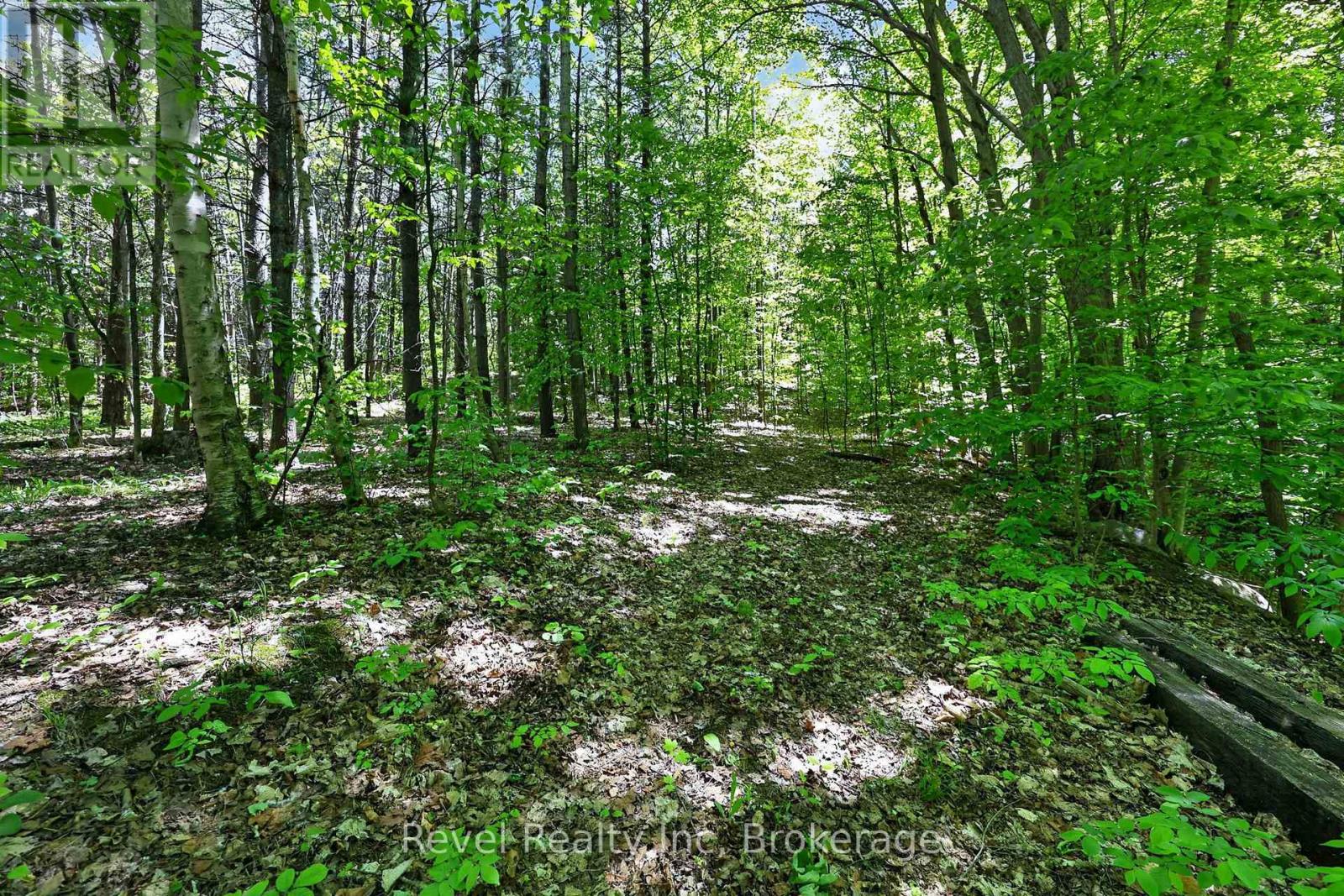 2391 RUMNEY ROAD - 28