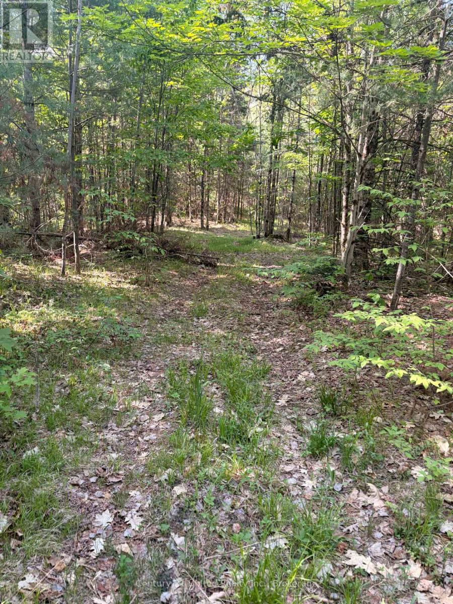 254 COUNTY RD 620 - 25