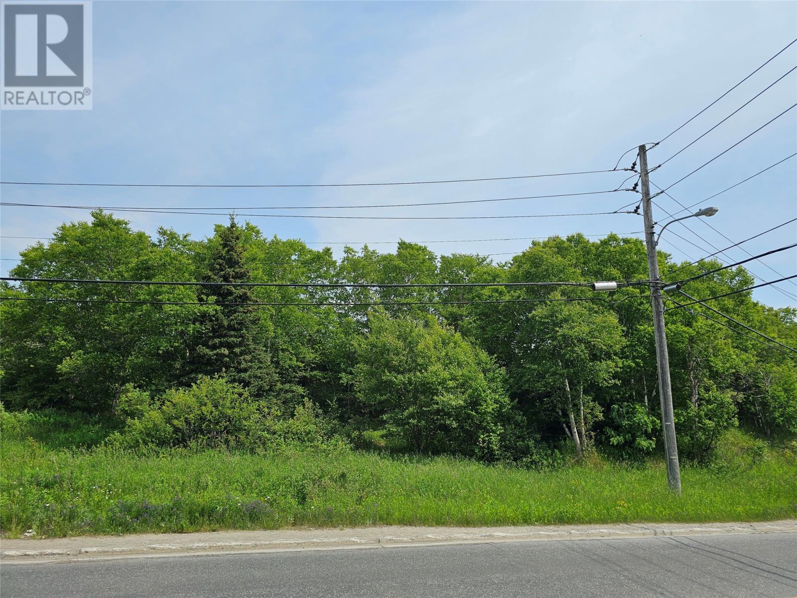 LOTS B, C and D O'Connell Drive, Corner Brook — photo 3