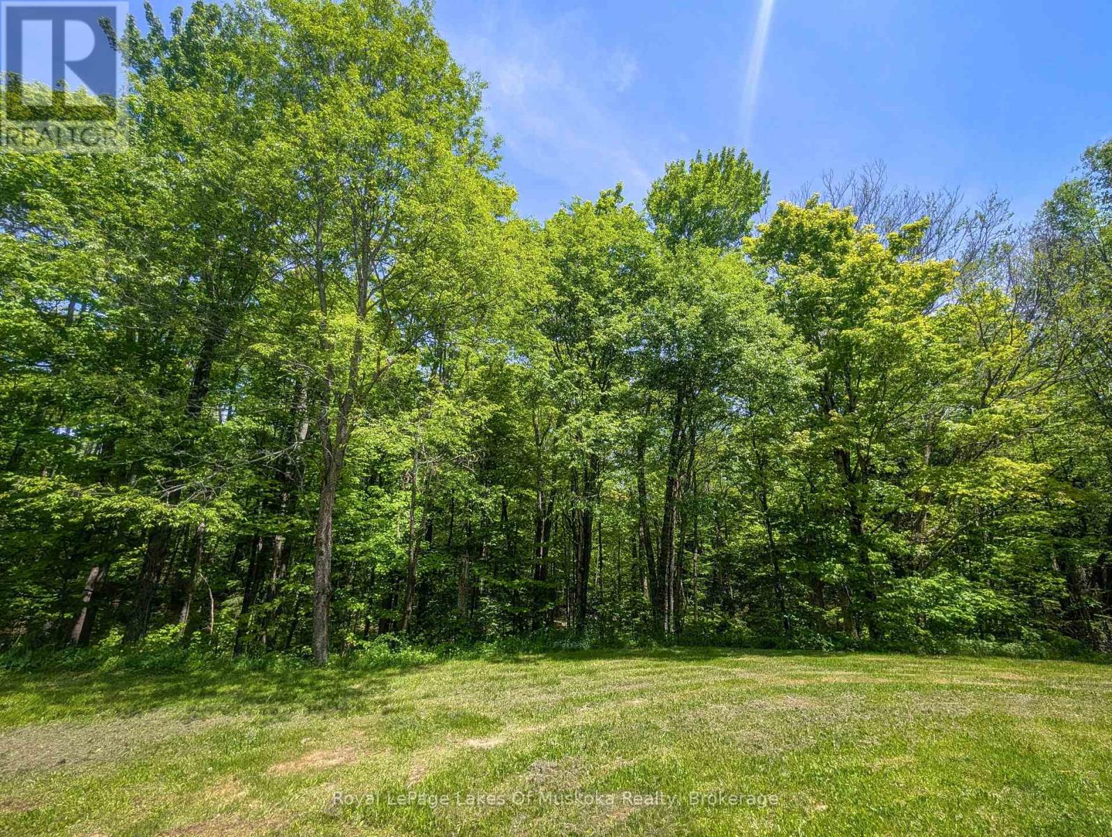 722 SOUTH HORN LK ROAD - 21