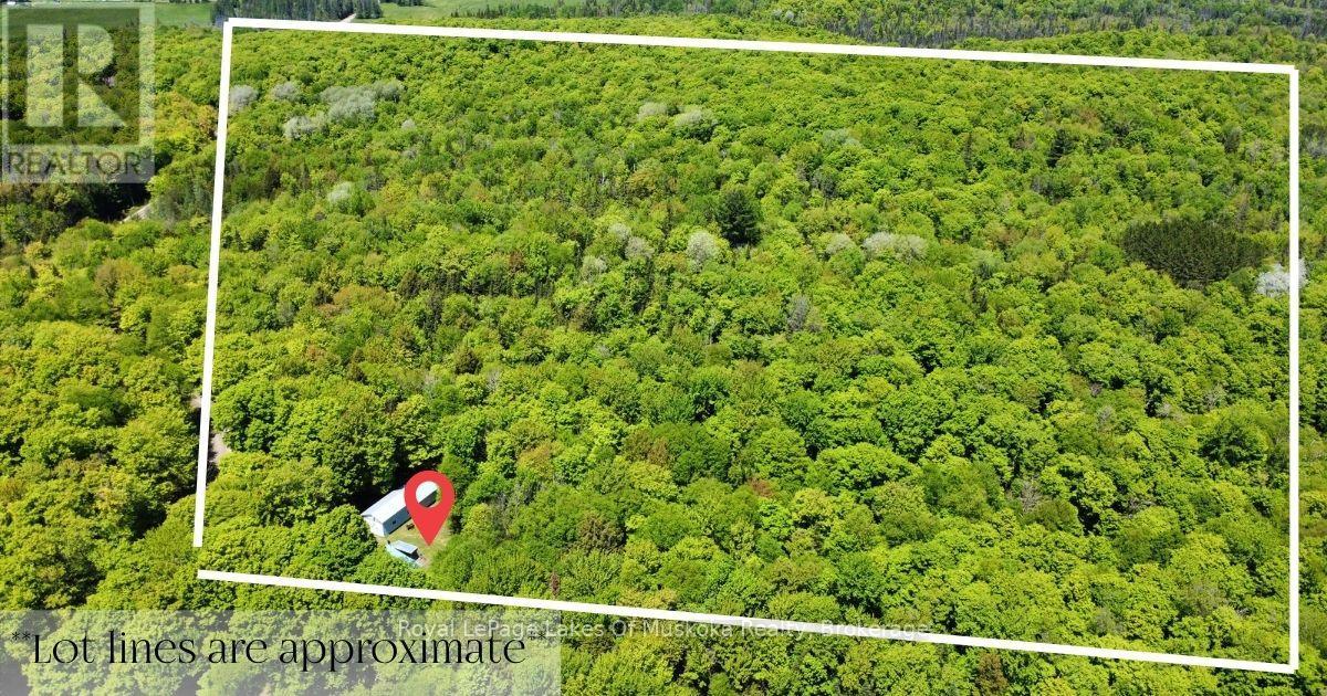 722 SOUTH HORN LK ROAD - 31