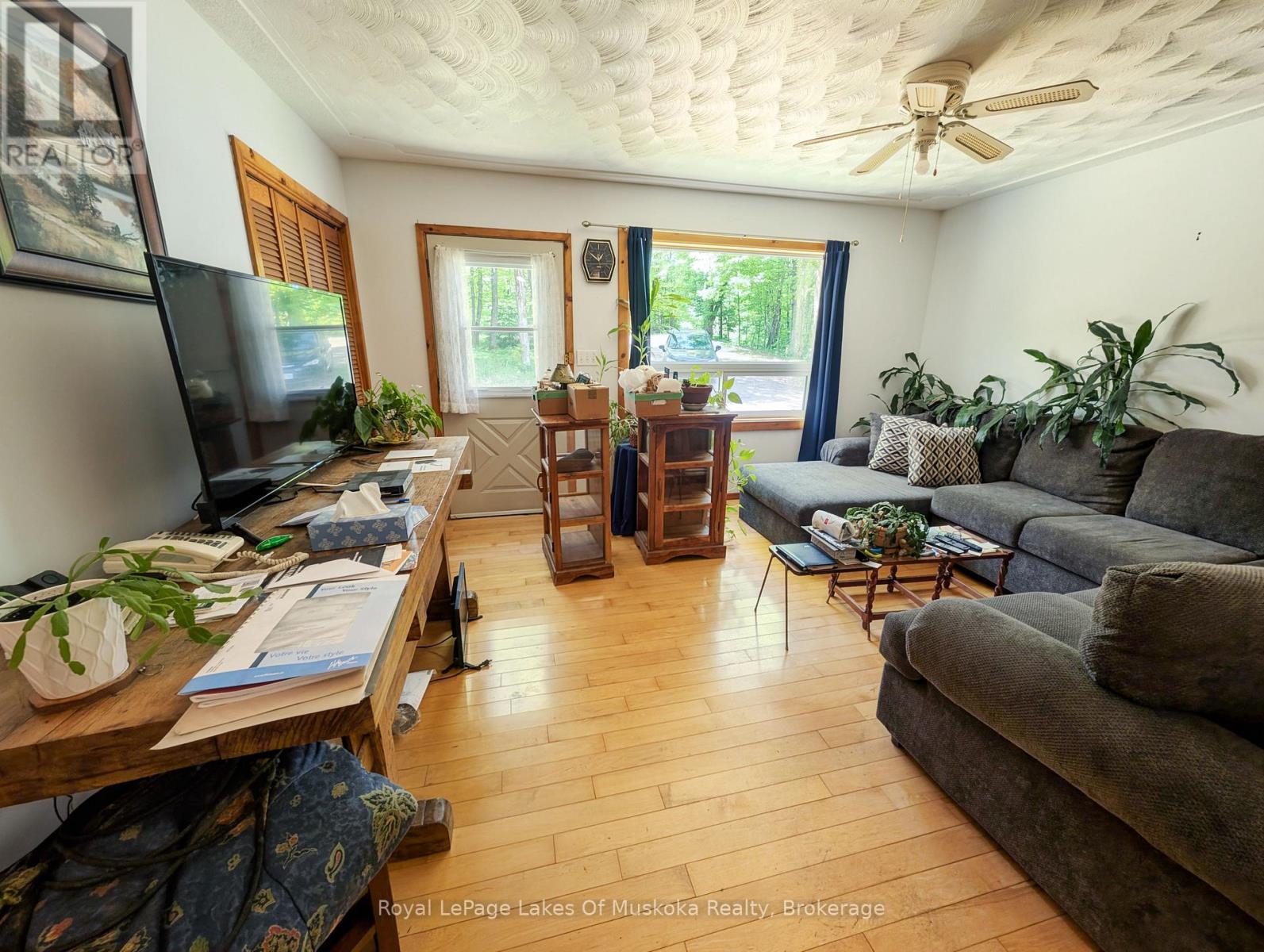 722 SOUTH HORN LK ROAD - 7