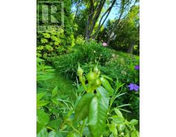 136 Old Danforth Road, Alnwick/haldimand, ON K0K2G0 Photo 46