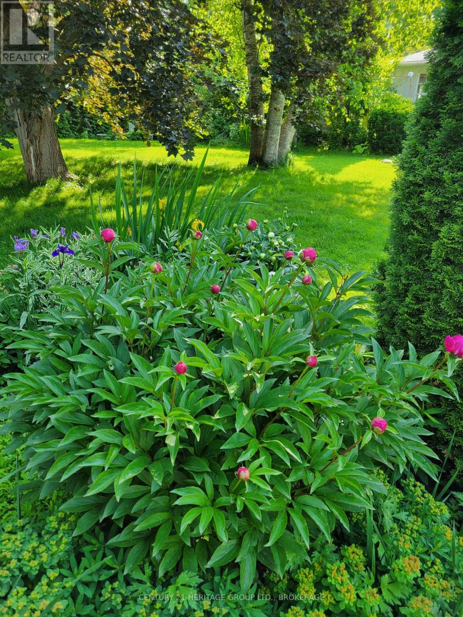 136 OLD DANFORTH ROAD - 48