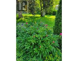 136 Old Danforth Road, Alnwick/haldimand, ON K0K2G0 Photo 48