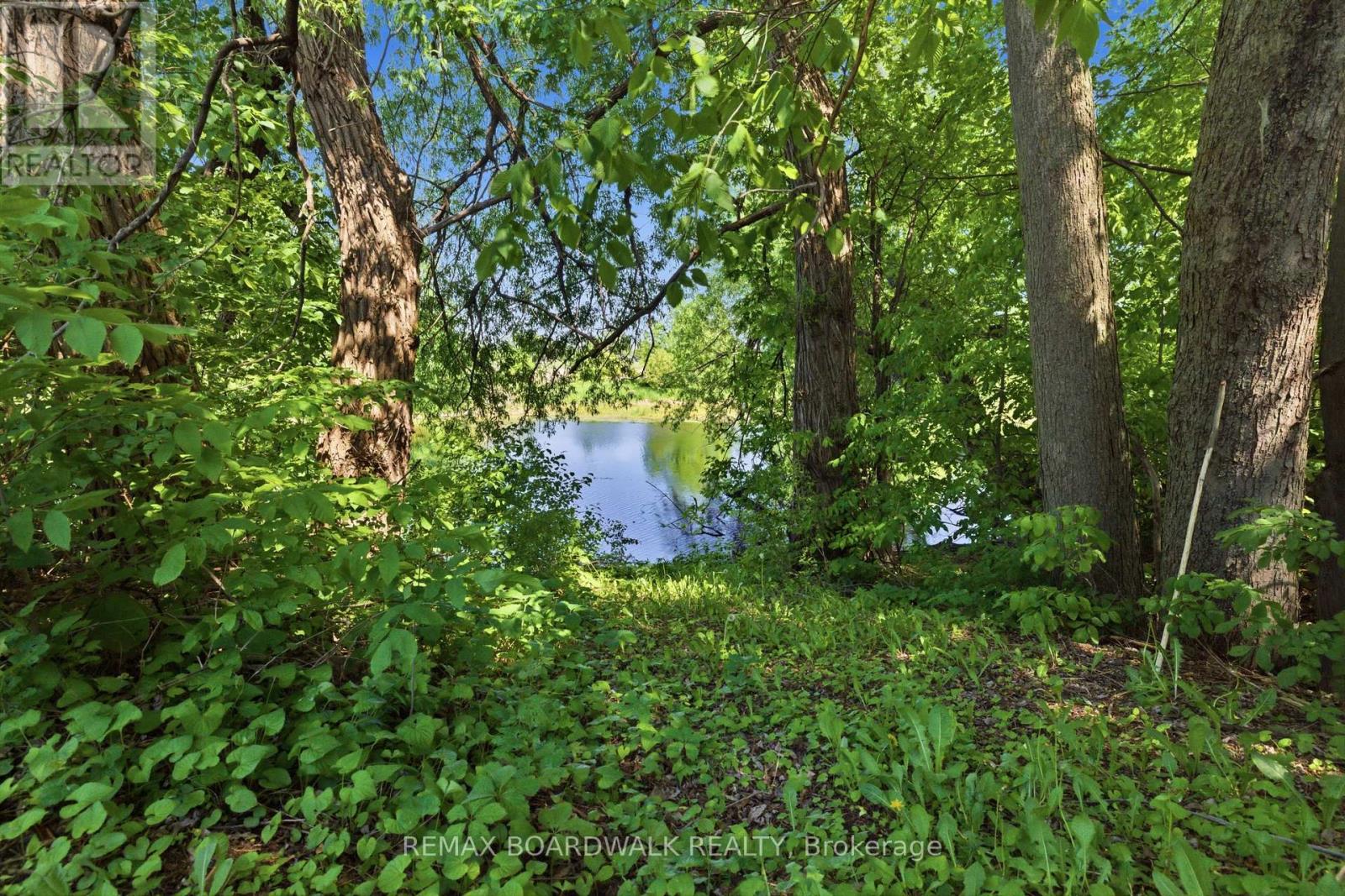 6568 OLD RICHMOND ROAD - 3