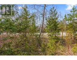 37 Emmerson Avenue, South Bruce Peninsula, ON N0H2G0 Photo 12