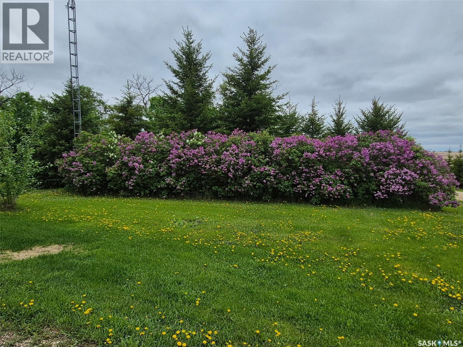 Ward Acreage — photo 14