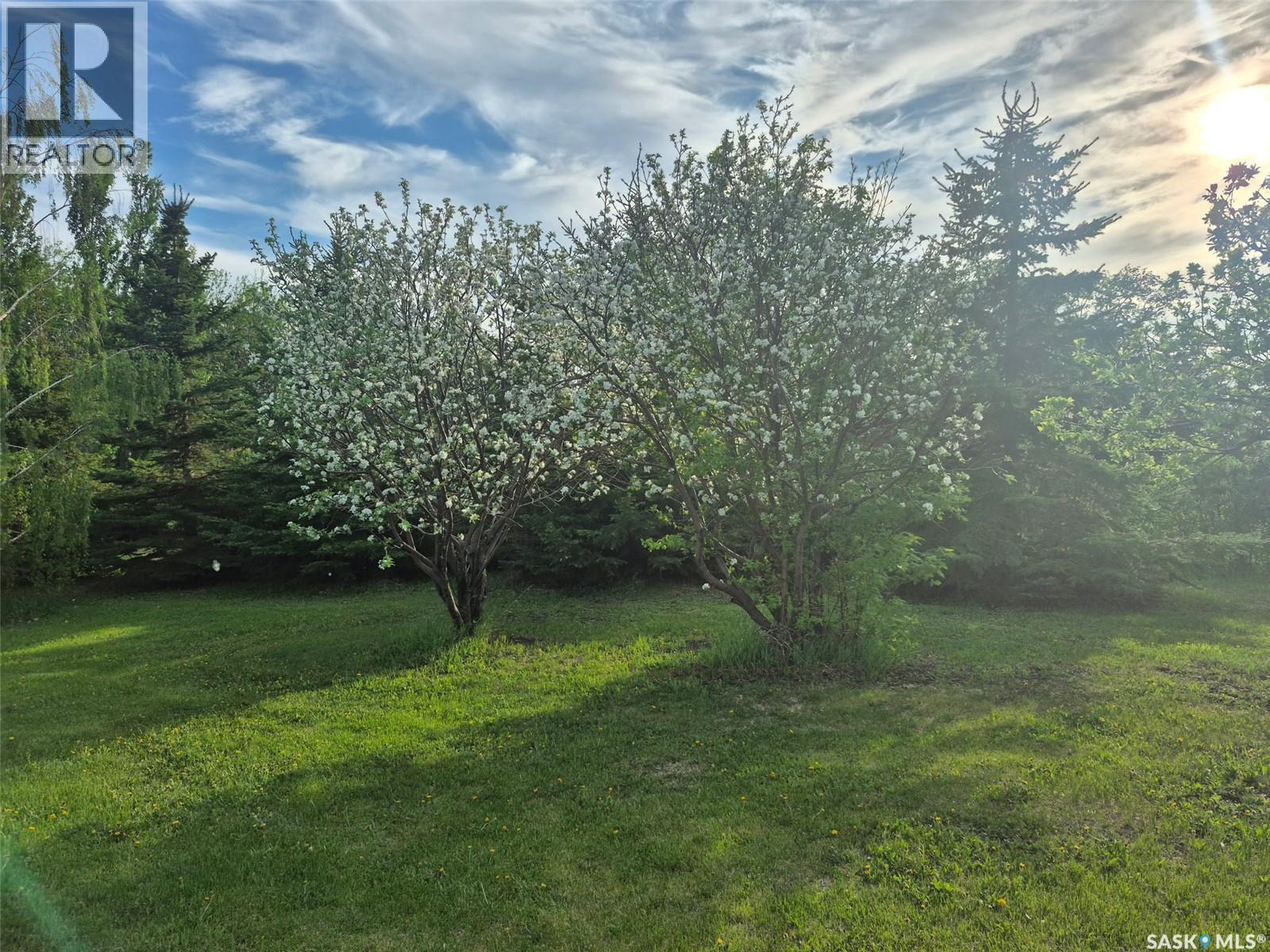 Ward Acreage - 15