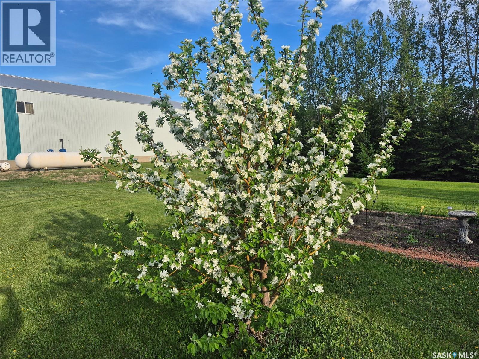 Ward Acreage - 16