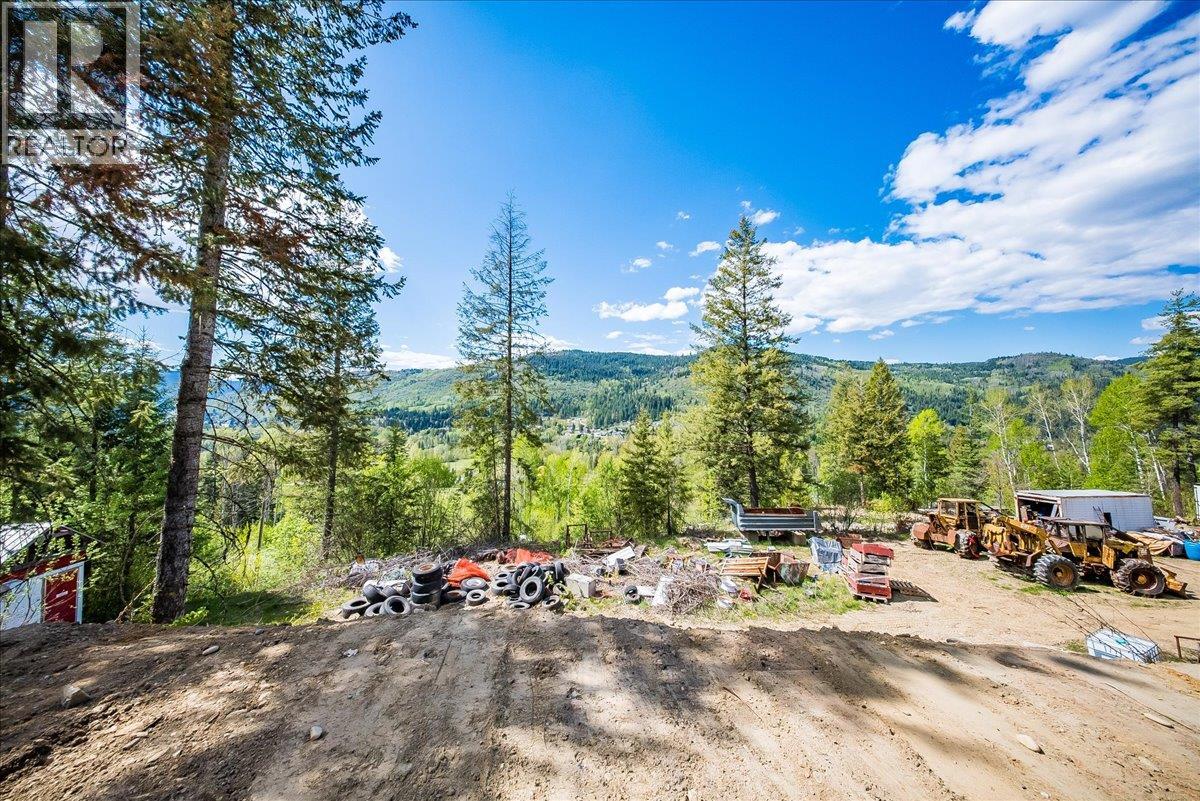 1232 Mcleod Road - 52